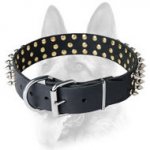 Leather Spiked Dog Collar for All Breeds