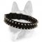 Custom Nylon Spiked Dog Collar-2 Rows of Spikes for All Dog Breeds