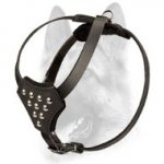 Durable Studded Genuine Leather Puppy Harness