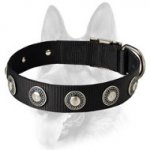 Designer Nylon Dog Collar with Silver Conchos - Extra Strong Training Collar