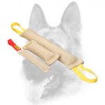 3 Gorgeous Jute Bite Tugs in One Dog Training Set