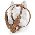 Exclusive Brass Covered Spiked Leather Dog Harness for All Dog Breeds