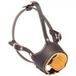 Obedience Training Leather Dog Muzzle with Opened Nose