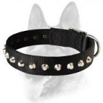 Great Nylon Collar with 1 Row Studs - Canine Collar for Schutzhund Dog Breeds