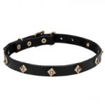 'Rhombi' Leather Dog Collar with Brass Decoration