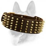 Luxurious Leather Spiked Extra Wide Dog Collar Dog Collar