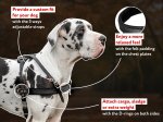 Pulling Leather Dog Harness-Any Dog Breed Training Harness