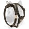 Leather Studded Puppy Harness for Safe Walking