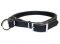 Adjustable Leather Slip Collar with Nickel Plated Hardware for Dog Training