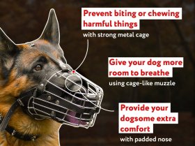 Wire Cage Dog Muzzle with Leather Lining