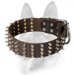 Genuine Leather Spiked Dog Collar