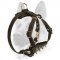 Comfortable and Safe Leather Spiked Harness for Puppies