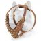 Exclusive Brass Covered Spiked Leather Dog Harness for All Dog Breeds