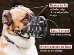 Pitbull Super Ventilation Large Leather Muzzle