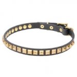 Narrow Leather Dog Collar with Brass Studs
