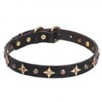 Leather Dog Collar with Old Bronze-plated Half-ball Studs and Stars