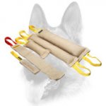 Superb Set of Jute Bite Tugs for Dog Training