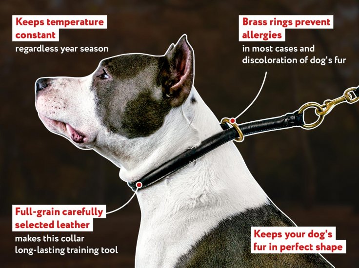 65cm Round High Quality Genuine Rolled Leather Choke Dog Collar 25" Long 
