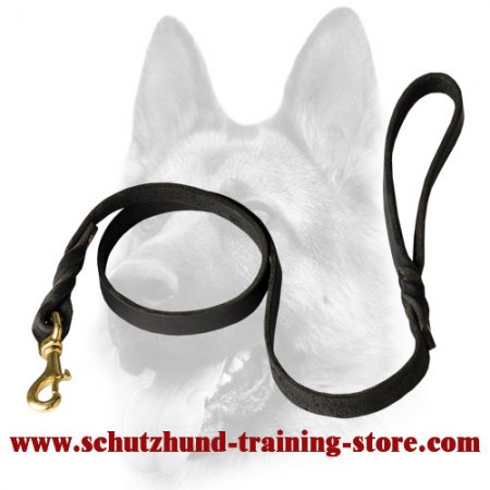 Handcrafted leather dog leash for walking and tracking