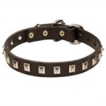 Elegant Leather Dog Collar "Caterpillar" Design