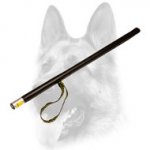 New Reliable Agitation Stick for Dog Training