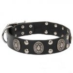 'Gothic Style' Leather Dog Collar with Amazing Decorations