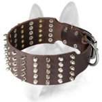 Super Wide Decorated Leather Dog Collar