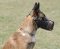 Attack and Agitation Training Dog Muzzle with Excellent Air Flow