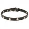 Leather Dog Collar with Half-Ball Chrome Plated Studs