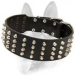 Custom Made Schutzhund Dog Breeds Training Collar