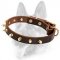 Spiked Leather Superb Decorated Dog Collar for All Dog Breeds
