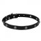 "Sparkling Beauty" Leather Dog Collar with Chrome Plated Engraved Studs