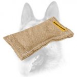 Puppy Training Jute Bite Tug Without Handles