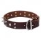 Leather Dog Collar with Reliably Set Skulls and Spikes