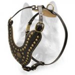Royal Leather Padded Dog Harness -Design Studded Comfy Harness