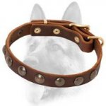 Strong Leather Dog Collar with Brass-Plated Hemispheres