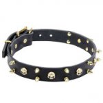 Dependable Leather Dog Collar with Spikes and Skulls