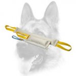 Fire Hose Set of Bite Tugs for Dog Training
