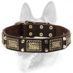 Stylish Dog Leather Collar with Brass-Covered Decorations