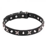 Leather Dog Collar with Shiny Nickel Plated Stars and Pyramids