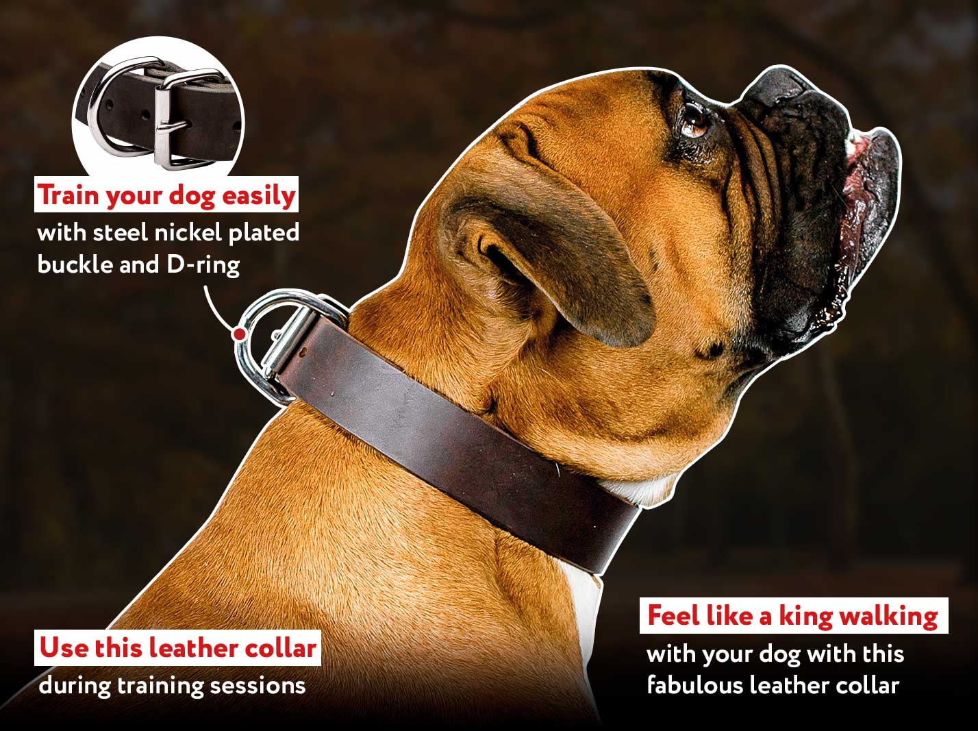 1 inch leather dog sales collar