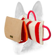 Super Strong Leather Covered Bite Dog Pillow