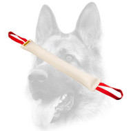 Fire Hose Dog Bite Tug With 2 Handles for Dog Training