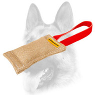 Trustworthy Handcrafted Jute Puppy Bite Tug