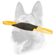 Excellent Leather Bite Tug for Young Dog Training
