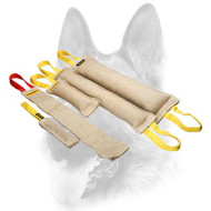 Superb Set of Jute Bite Tugs for Dog Training