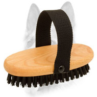 Superior Design Bristle Brush for Your Dog