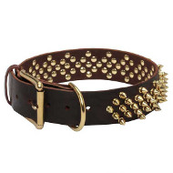 Leather Dog Collar with Brass Spikes Set in Waves