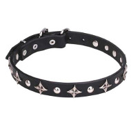Leather Dog Collar with Chrome Plated Stars and Studs