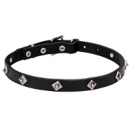 Narrow Leather Dog Collar with Chrome Plated Studs